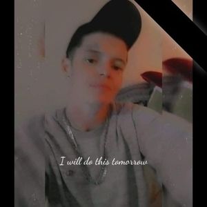 Meet your Posher, Misty